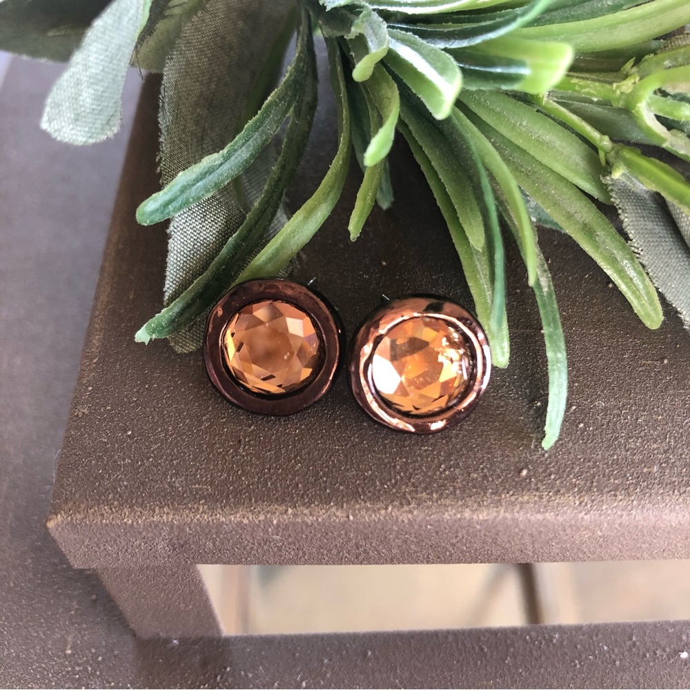 Coldwater creek earrings size S color copper.